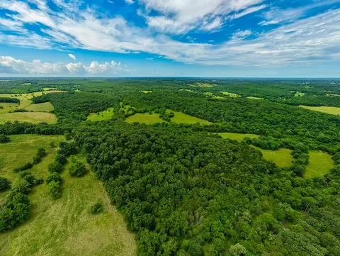 0000 Persimmon Rd, Grovespring, MO 65662 photo 10