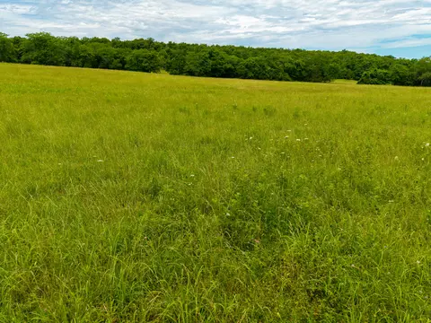 0000 Persimmon Rd, Grovespring, MO 65662 photo 18