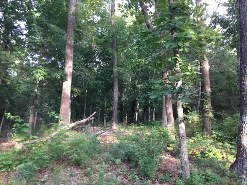 0000 Persimmon Rd, Grovespring, MO 65662 photo 33