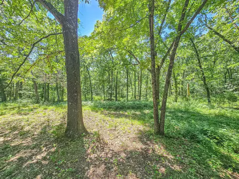 21436 State Highway D, Hermitage, MO 65668 photo 8