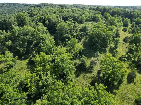 000 Highway Uu And Merritt Rd, Chadwick, MO 65629 photo 52