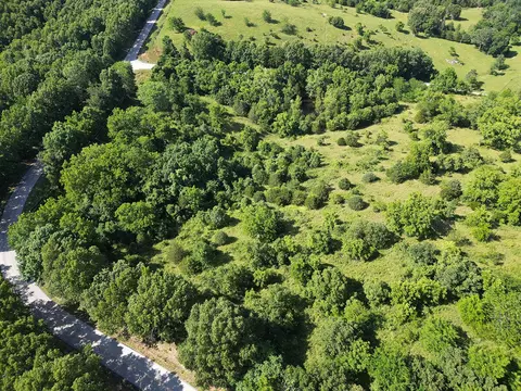 000 Highway Uu And Merritt Rd, Chadwick, MO 65629 photo 49