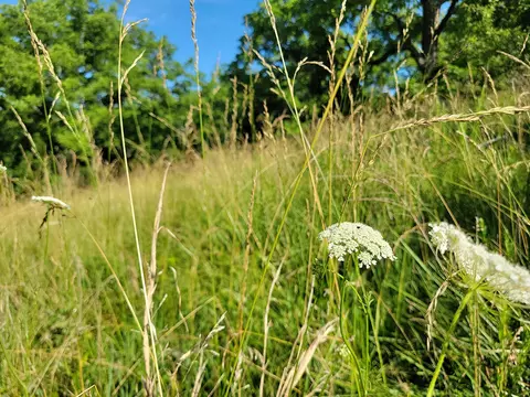 000 Highway Uu And Merritt Rd, Chadwick, MO 65629 photo 28