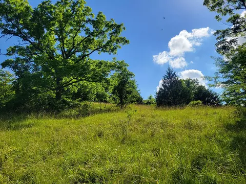 000 Highway Uu And Merritt Rd, Chadwick, MO 65629 photo 3