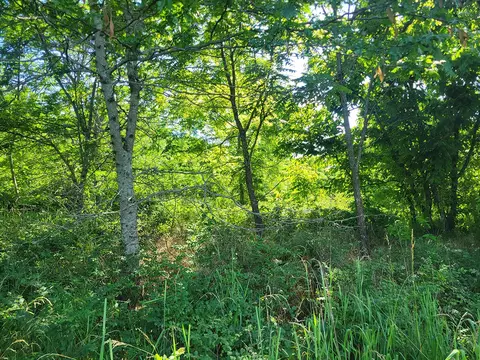 000 Highway Uu And Merritt Rd, Chadwick, MO 65629 photo 20