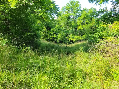 000 Highway Uu And Merritt Rd, Chadwick, MO 65629 photo 34