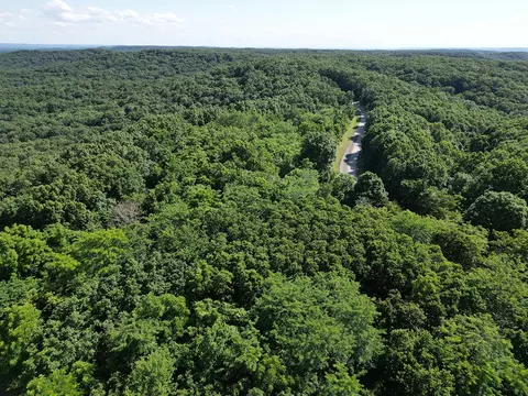 000 Highway Uu And Merritt Rd, Chadwick, MO 65629 photo 43