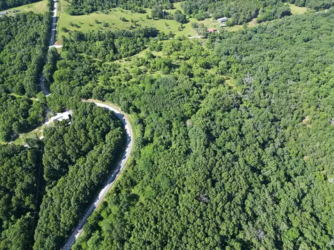 000 Highway Uu And Merritt Rd, Chadwick, MO 65629 photo 54
