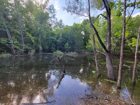 000 Highway Uu And Merritt Rd, Chadwick, MO 65629 photo 36