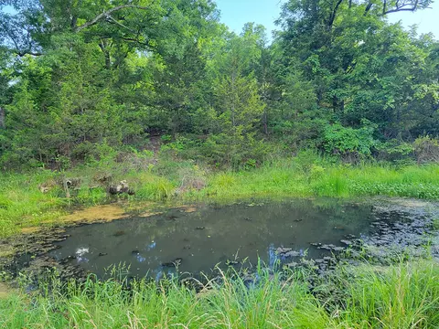 000 Highway Uu And Merritt Rd, Chadwick, MO 65629 photo 39