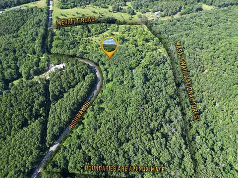 000 Highway Uu And Merritt Rd, Chadwick, MO 65629 photo 2