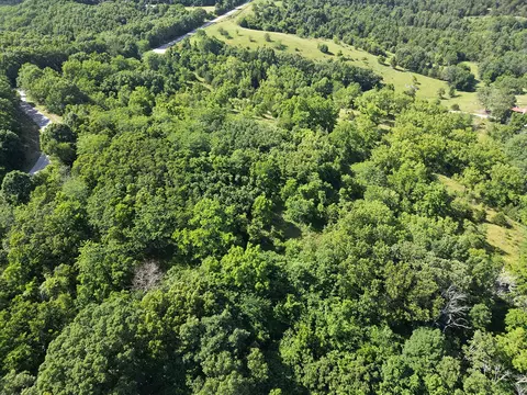 000 Highway Uu And Merritt Rd, Chadwick, MO 65629 photo 45