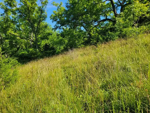 000 Highway Uu And Merritt Rd, Chadwick, MO 65629 photo 27