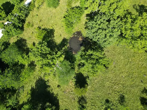 000 Highway Uu And Merritt Rd, Chadwick, MO 65629 photo 9