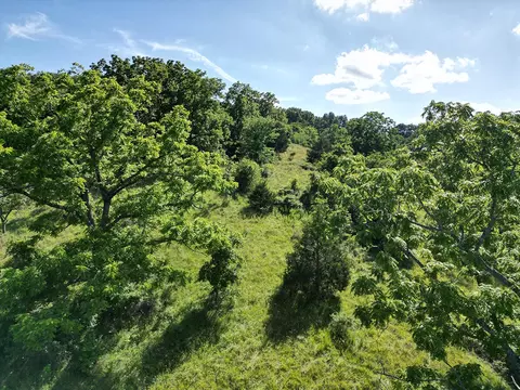 000 Highway Uu And Merritt Rd, Chadwick, MO 65629 photo 5
