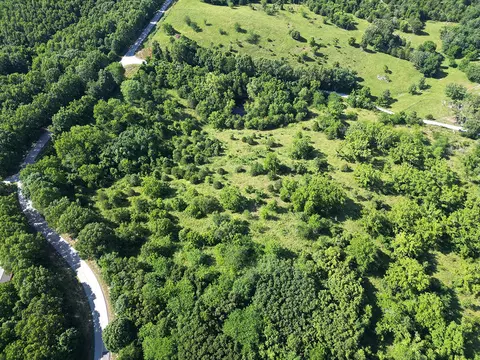 000 Highway Uu And Merritt Rd, Chadwick, MO 65629 photo 55