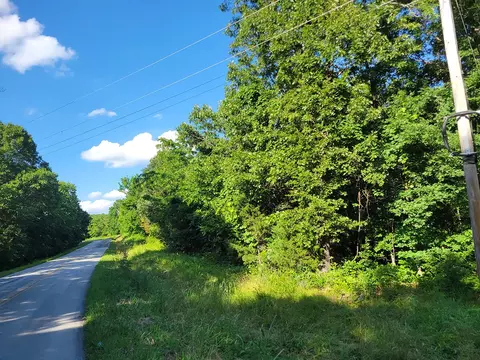 000 Highway Uu And Merritt Rd, Chadwick, MO 65629 photo 41