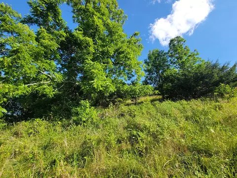 000 Highway Uu And Merritt Rd, Chadwick, MO 65629 photo 31