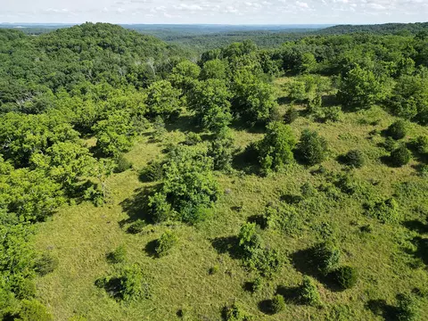 000 Highway Uu And Merritt Rd, Chadwick, MO 65629 photo 7