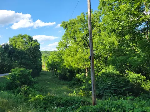 000 Highway Uu And Merritt Rd, Chadwick, MO 65629 photo 4