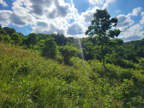 000 Highway Uu And Merritt Rd, Chadwick, MO 65629 photo 30