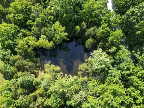 000 Highway Uu And Merritt Rd, Chadwick, MO 65629 photo 8