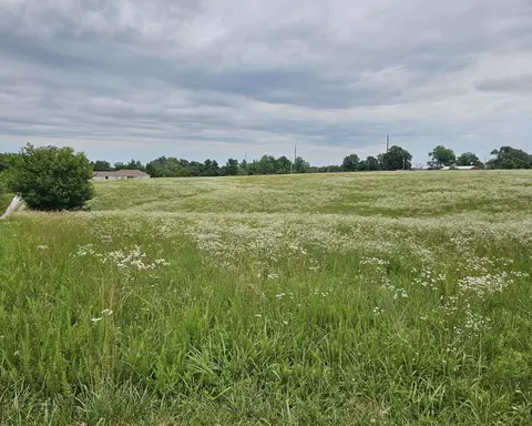 lot9 Lightning Bug Ln, Goodman, MO 64843