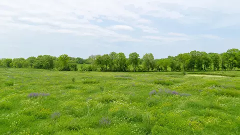 000 County Road 417, Alton, MO 65606
