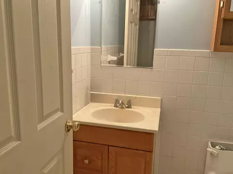 Bath - 98 Fine Dr, Galena, MO 65656 photo 3 of 3