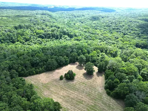 00 Forest Road 7989, Plato, MO 65552 photo 52