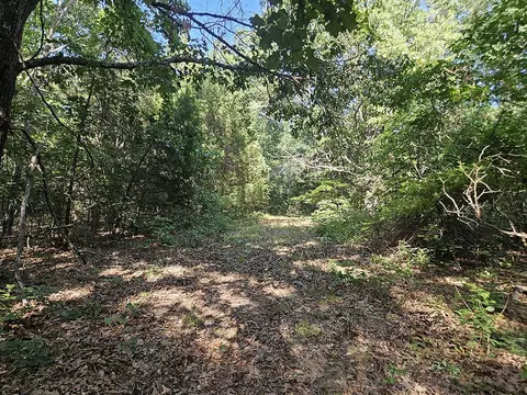 00 Forest Road 7989, Plato, MO 65552 photo 45
