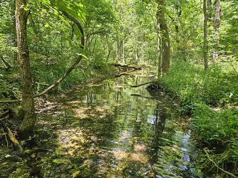 00 Forest Road 7989, Plato, MO 65552 photo 32