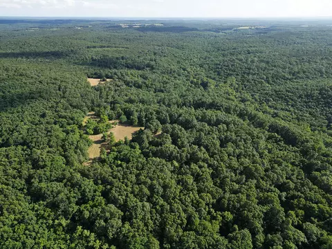 00 Forest Road 7989, Plato, MO 65552 photo 60
