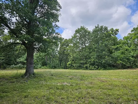 00 Forest Road 7989, Plato, MO 65552 photo 13