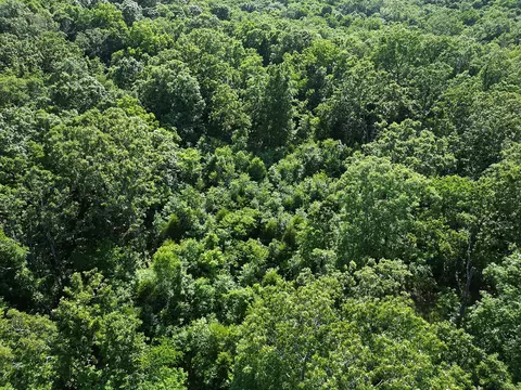 00 Forest Road 7989, Plato, MO 65552 photo 56