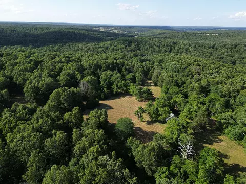 00 Forest Road 7989, Plato, MO 65552 photo 61