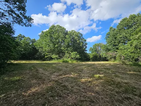 00 Forest Road 7989, Plato, MO 65552 photo 43