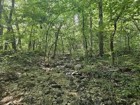 00 Forest Road 7989, Plato, MO 65552 photo 42