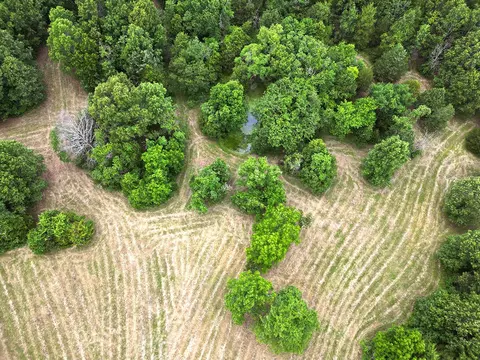 00 Forest Road 7989, Plato, MO 65552 photo 6