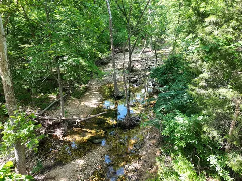 00 Forest Road 7989, Plato, MO 65552 photo 55
