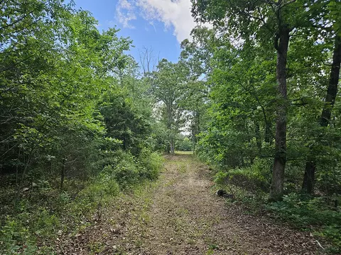 00 Forest Road 7989, Plato, MO 65552 photo 30
