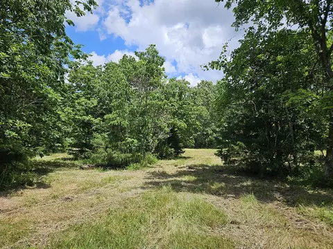 00 Forest Road 7989, Plato, MO 65552 photo 29