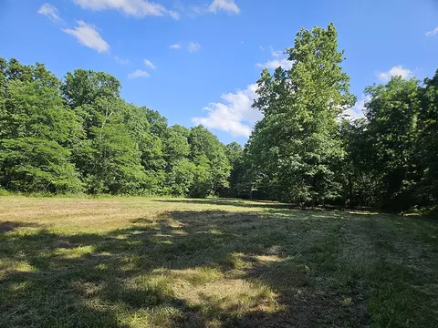 00 Forest Road 7989, Plato, MO 65552 photo 40
