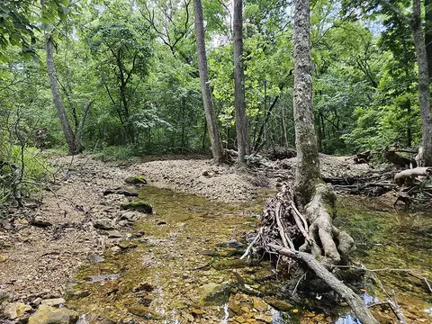 00 Forest Road 7989, Plato, MO 65552 photo 33