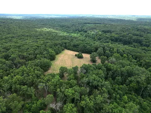 00 Forest Road 7989, Plato, MO 65552 photo 48