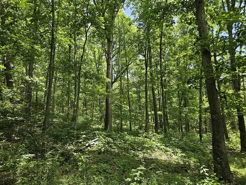 00 Forest Road 7989, Plato, MO 65552 photo 31