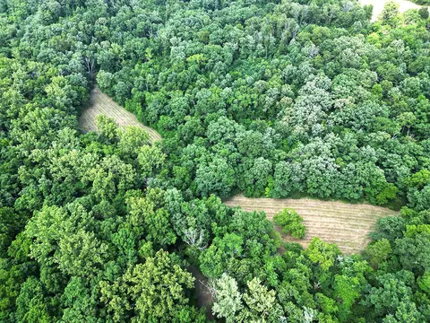 00 Forest Road 7989, Plato, MO 65552 photo 7