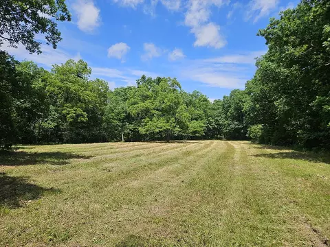 00 Forest Road 7989, Plato, MO 65552 photo 9