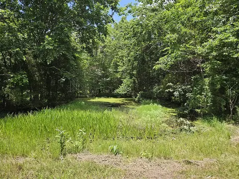 00 Forest Road 7989, Plato, MO 65552 photo 27