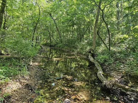 00 Forest Road 7989, Plato, MO 65552 photo 39